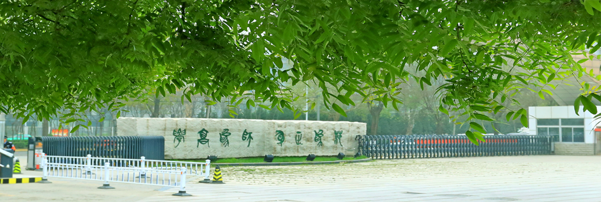 6t体育